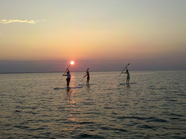 paddte surf en el mar